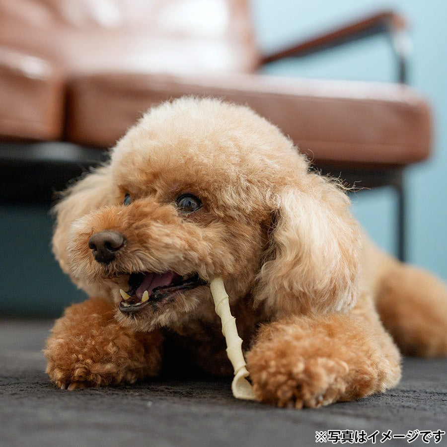 ファッド FAD 牛皮ガム ロッド 国産 犬用おやつ 約50g