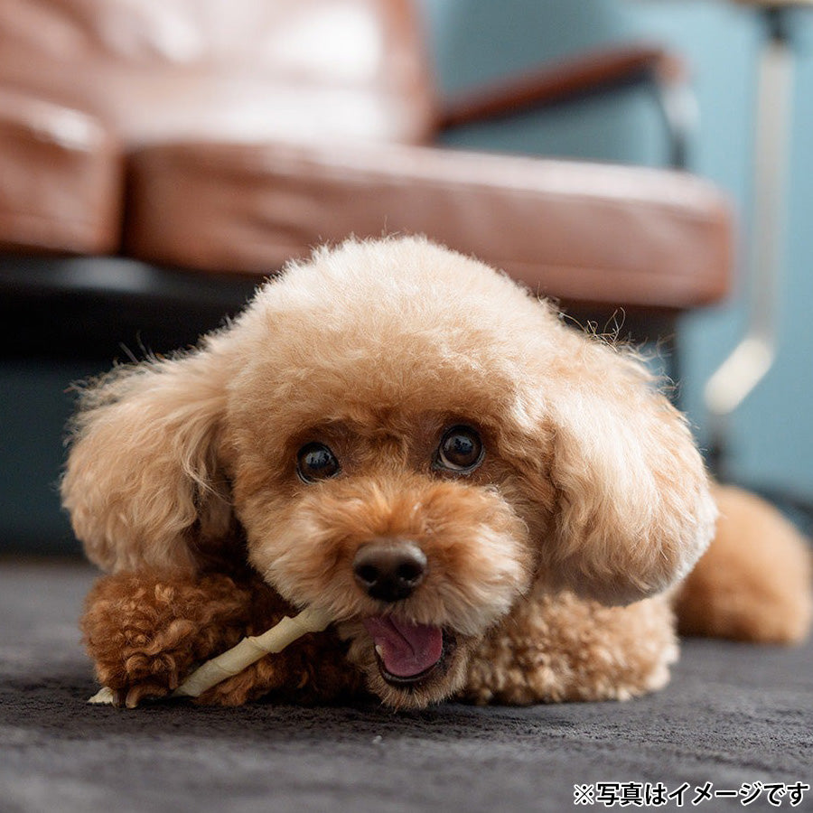 ファッド FAD 牛皮ガム ロッド 国産 犬用おやつ 約50g