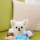 DADWAYPET ダッドウェイペット FAD＋ ファッドプラス プラッシュトイ ハリセンボン 犬用おもちゃ