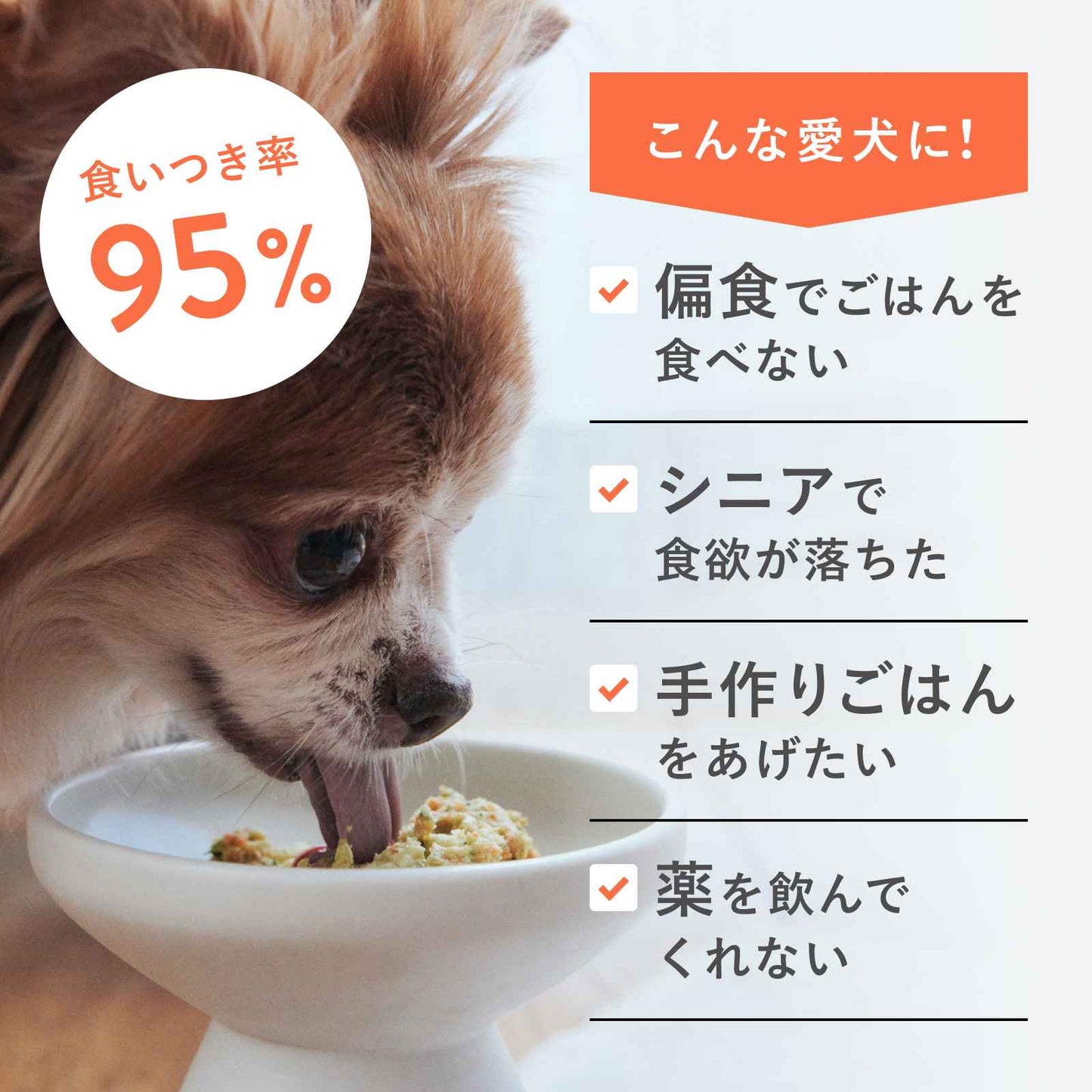 ペトコトフーズ PETOKOTO ウェットドッグフード チキン 100g×4個