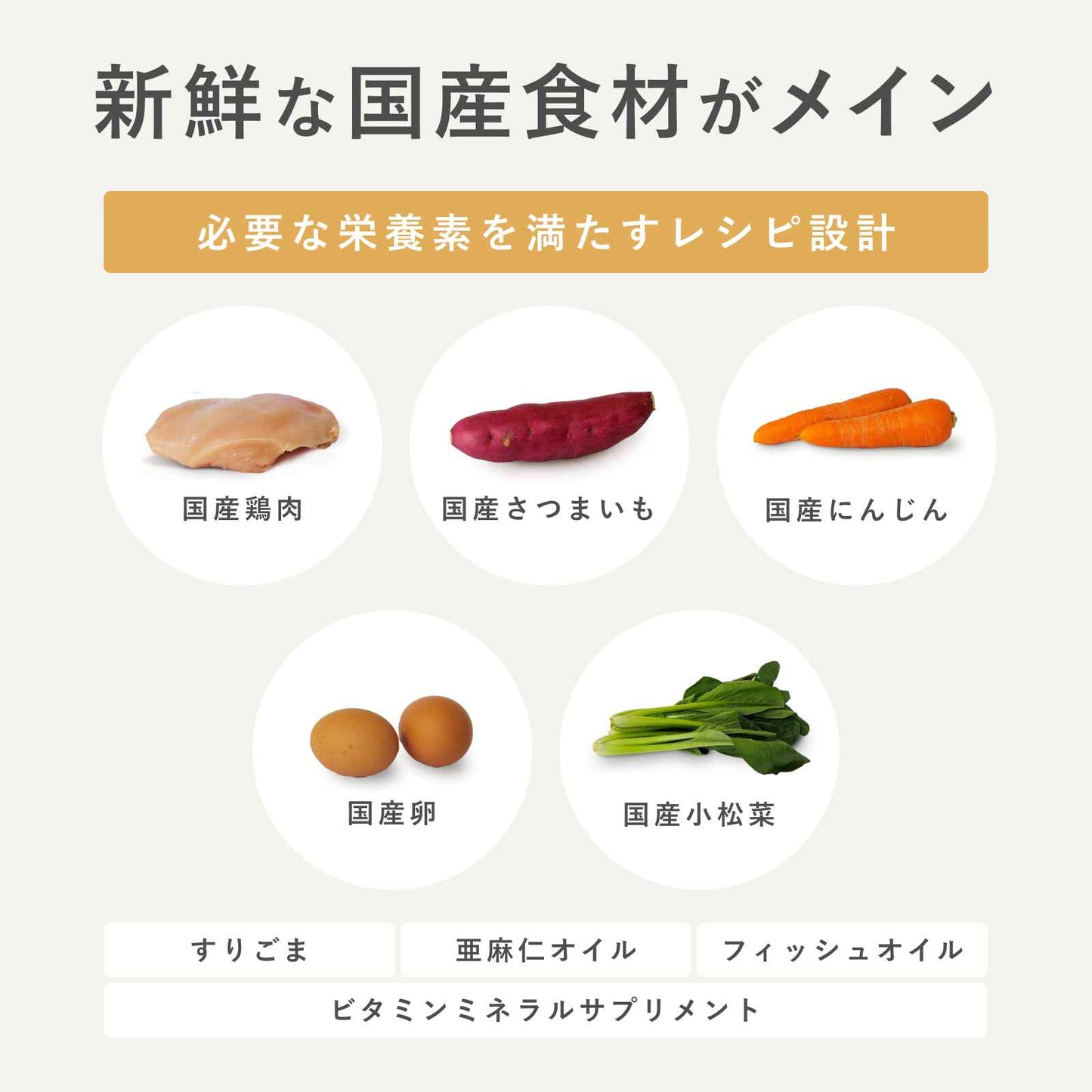 ペトコトフーズ PETOKOTO ウェットドッグフード チキン 100g