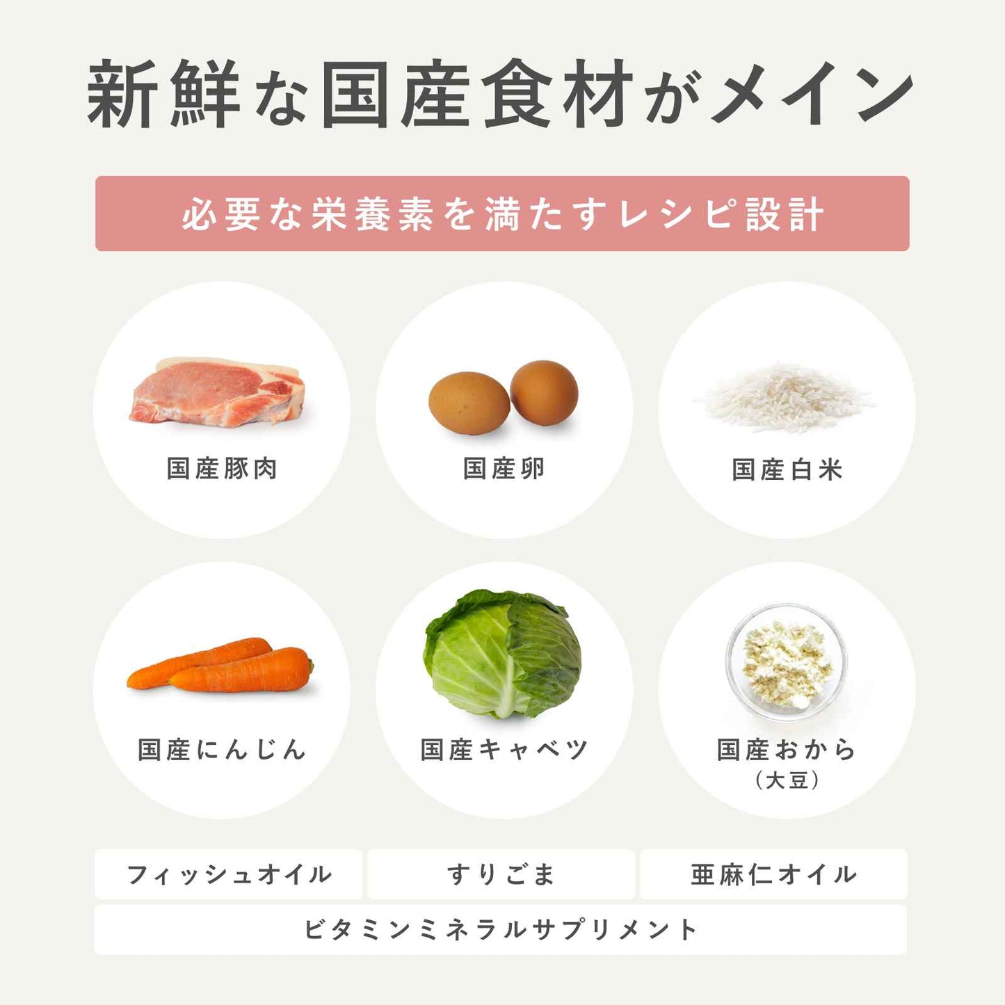 ペトコトフーズ PETOKOTO ウェットドッグフード ポーク 100g