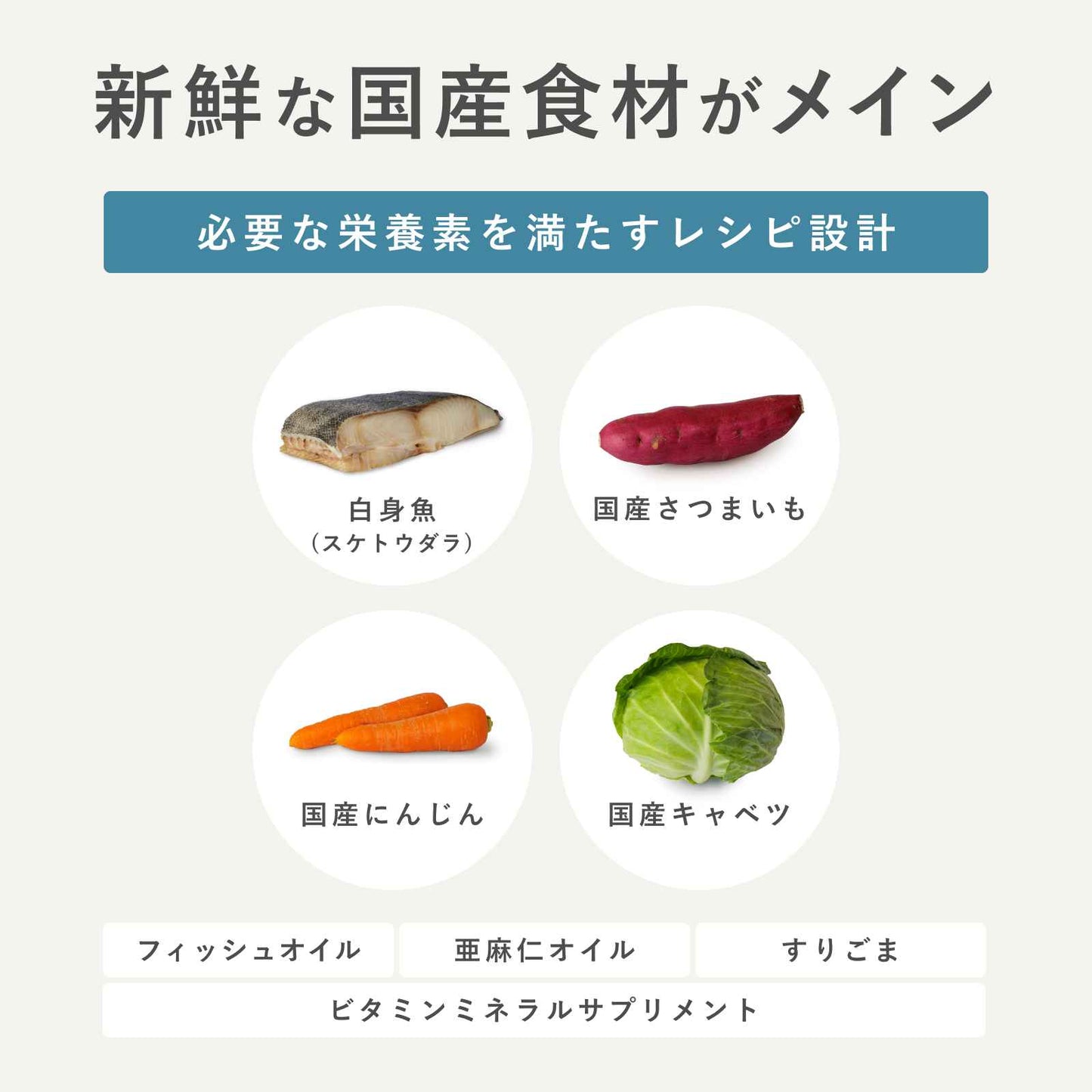 ペトコトフーズ PETOKOTO ウェットドッグフード フィッシュ 100g×4個