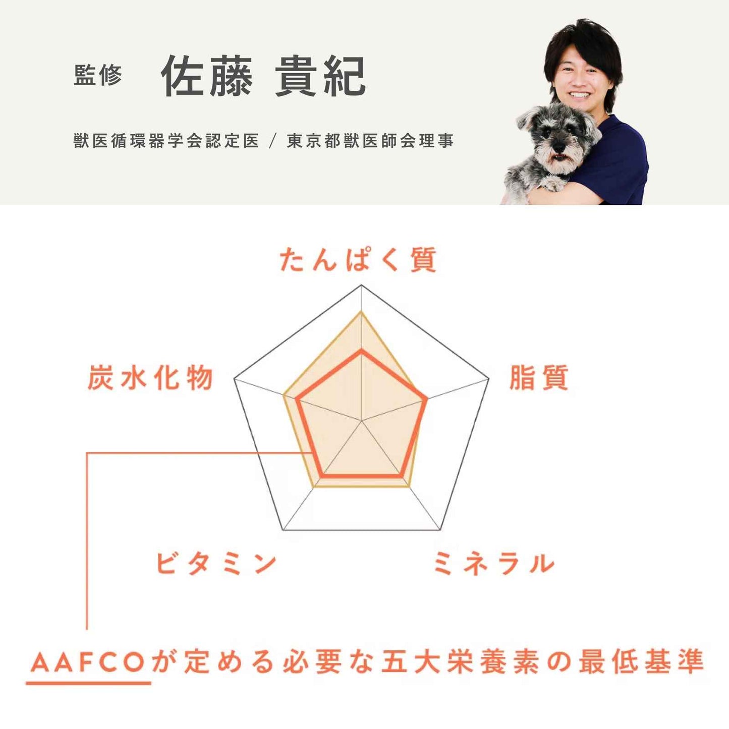 ペトコトフーズ PETOKOTO ウェットドッグフード フィッシュ 100g