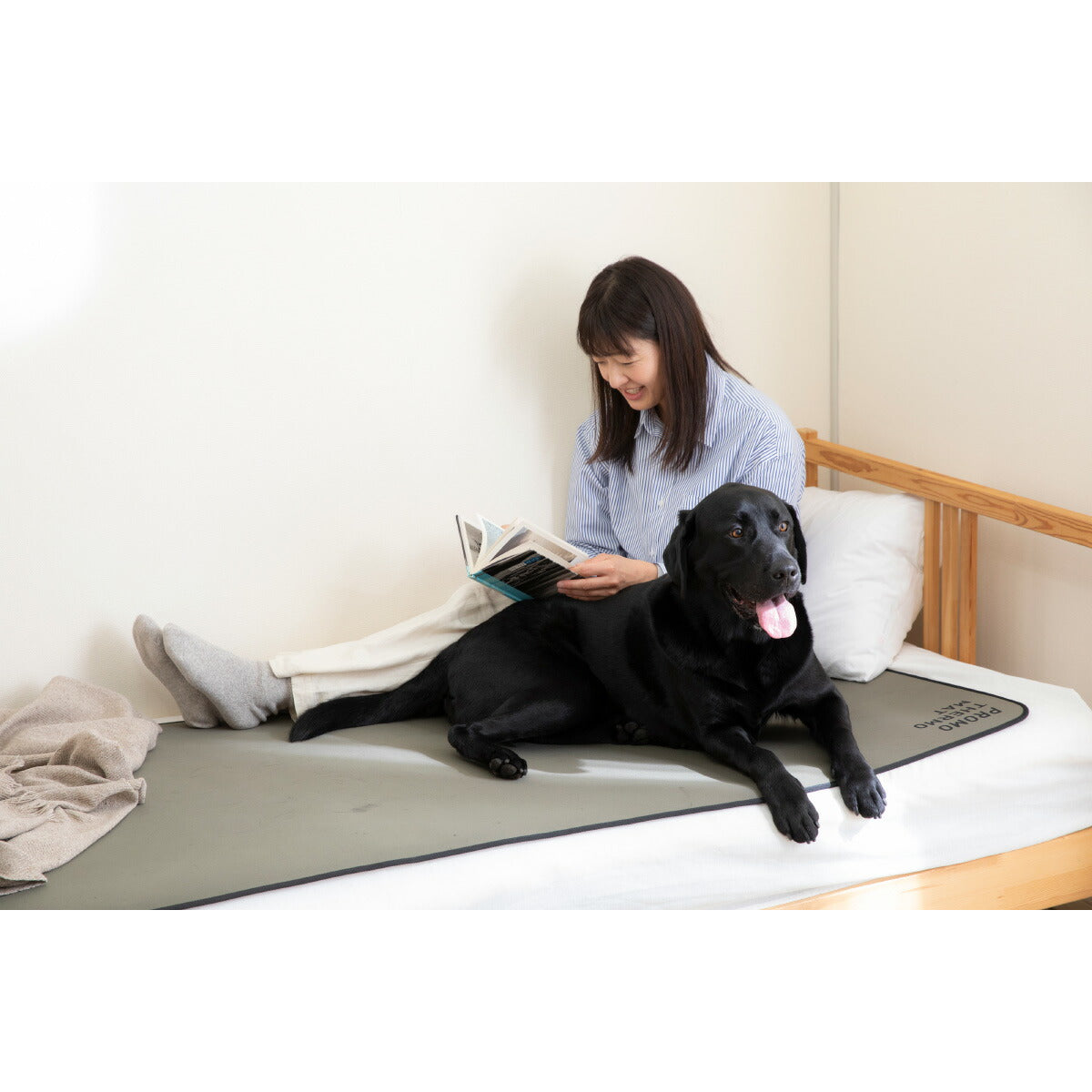 PROMO THERMO プロモサーモマット ブラックシリカ ペット F オリーブグリーン【送料無料】
