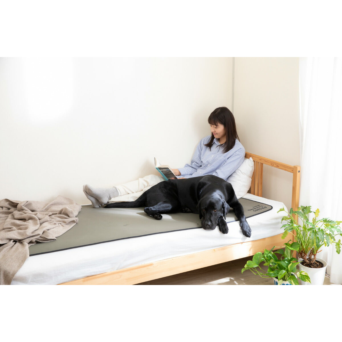 PROMO THERMO プロモサーモマット ブラックシリカ ペット F オリーブグリーン【送料無料】