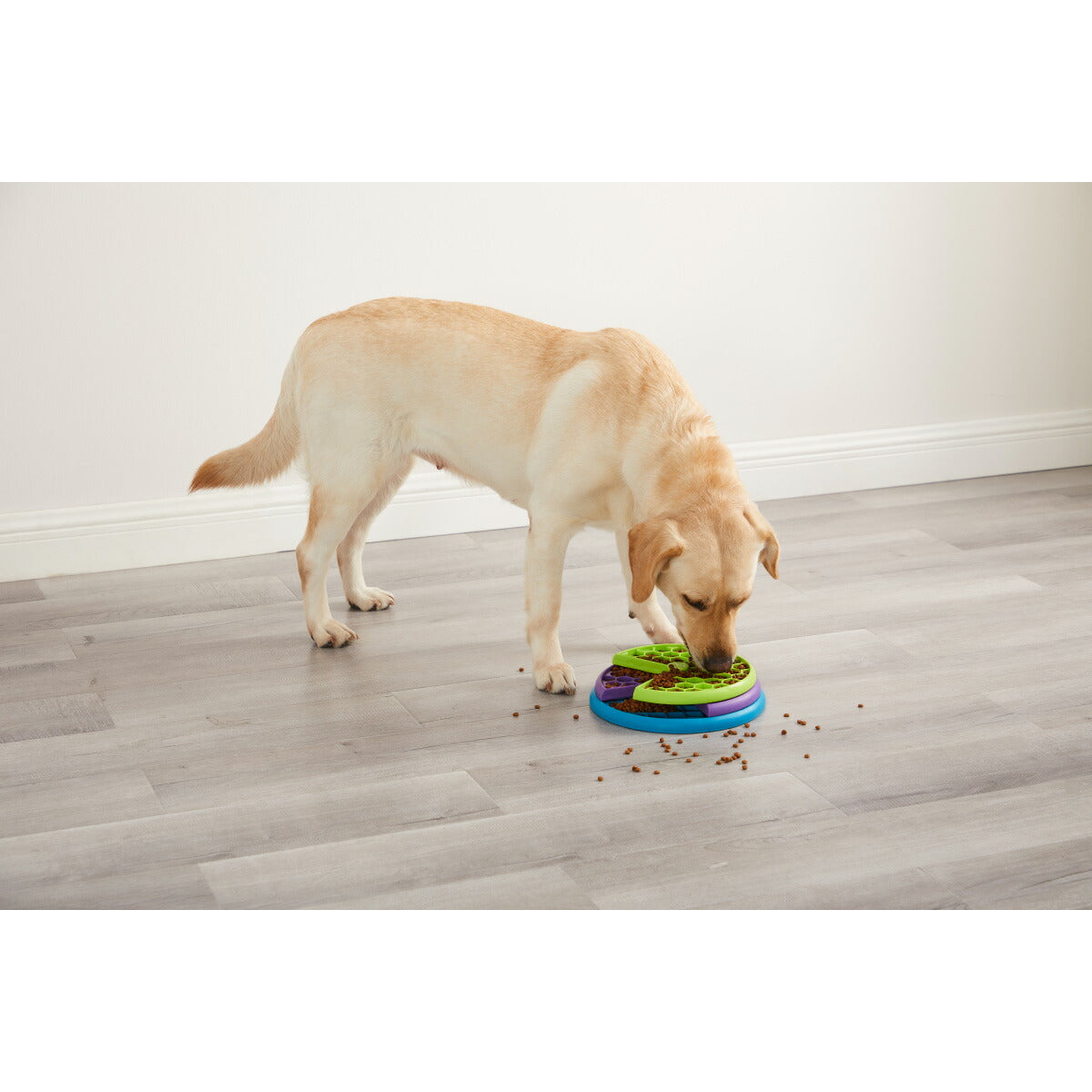 アウトワードハウンド Outward Hound リッキンレイヤーズ【送料無料】