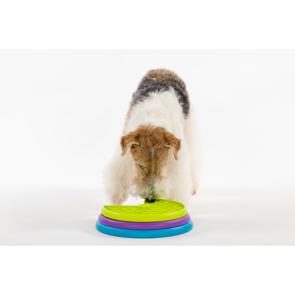アウトワードハウンド Outward Hound リッキンレイヤーズ【送料無料】