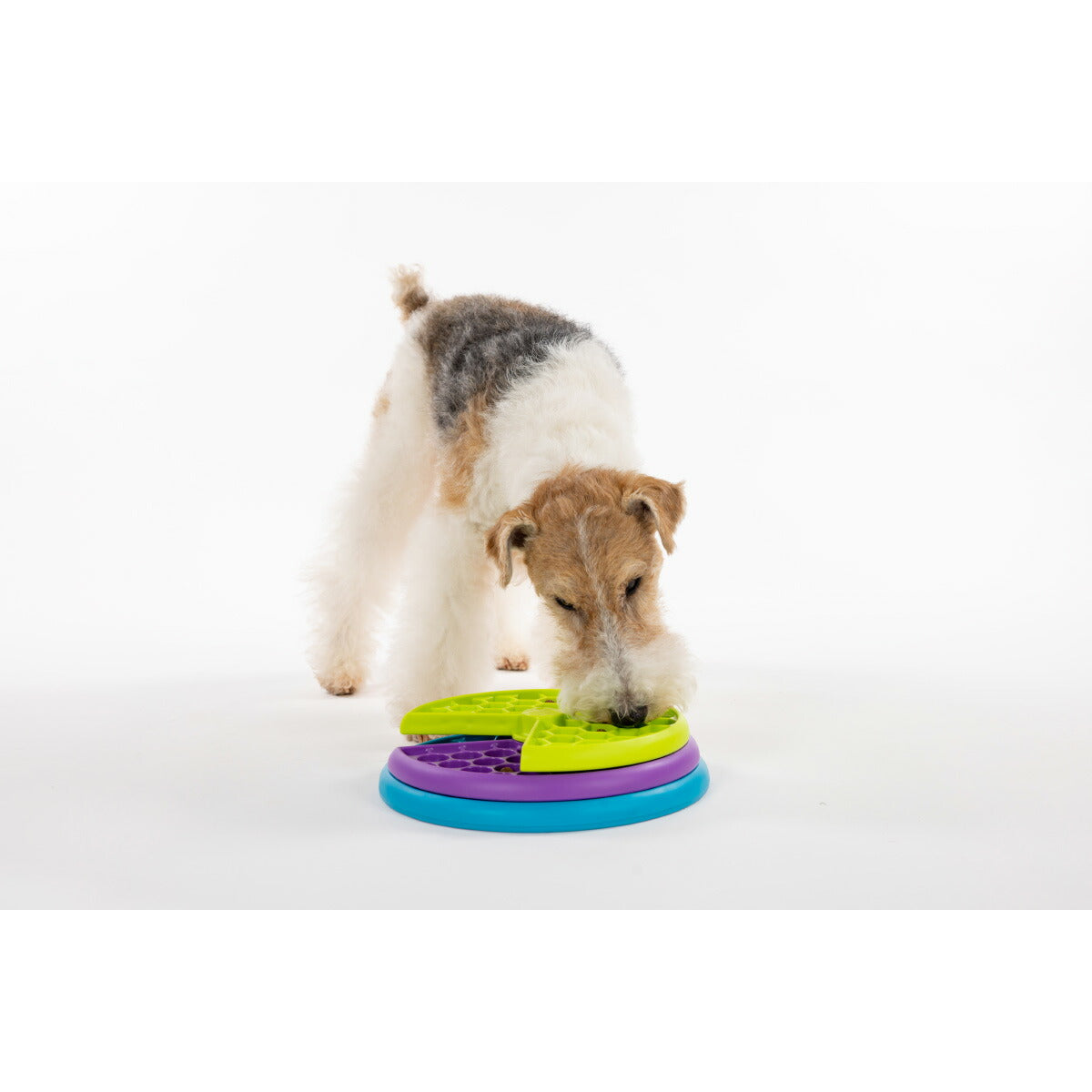 アウトワードハウンド Outward Hound リッキンレイヤーズ【送料無料】
