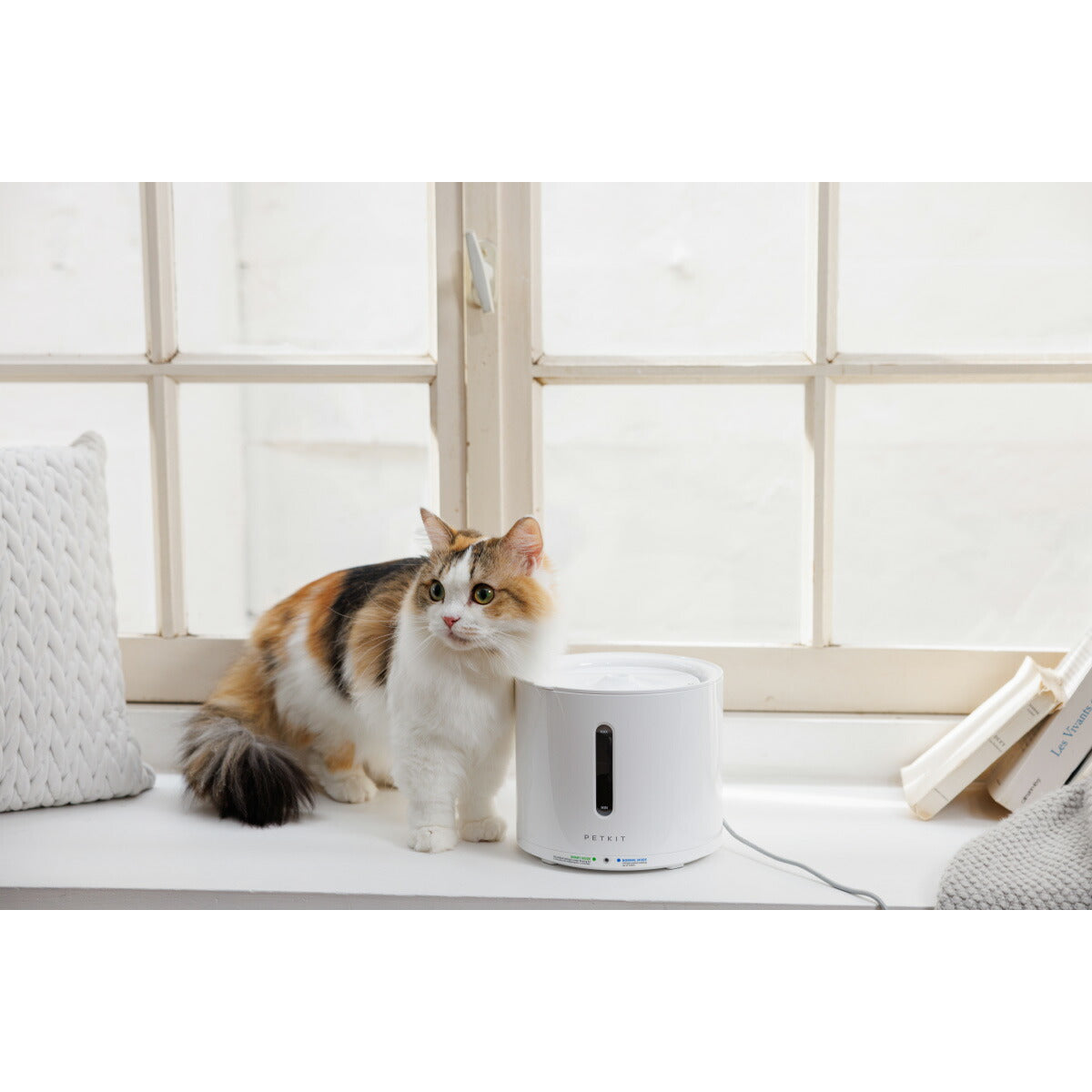 PETKIT ドリンキング ウォーターファウンテン solo2【送料無料】