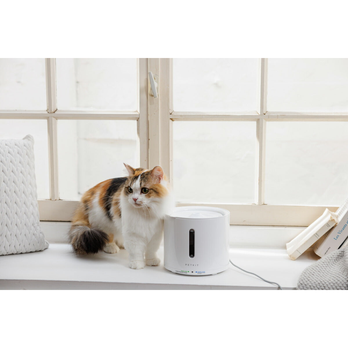 PETKIT ドリンキング ウォーターファウンテン solo2【送料無料】