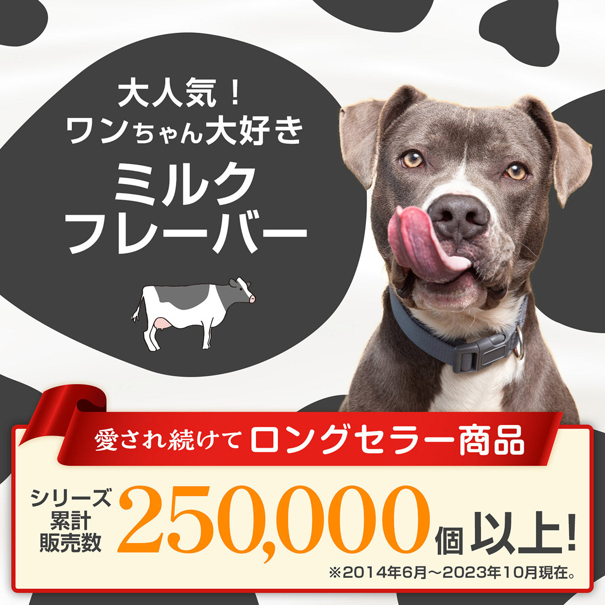 ペットプロ BIGガム 骨型 愛犬用おやつ 2本