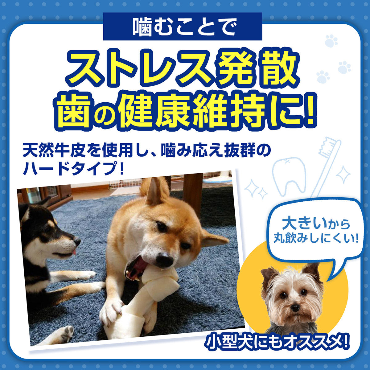 ペットプロ BIGガム 骨型 愛犬用おやつ 2本
