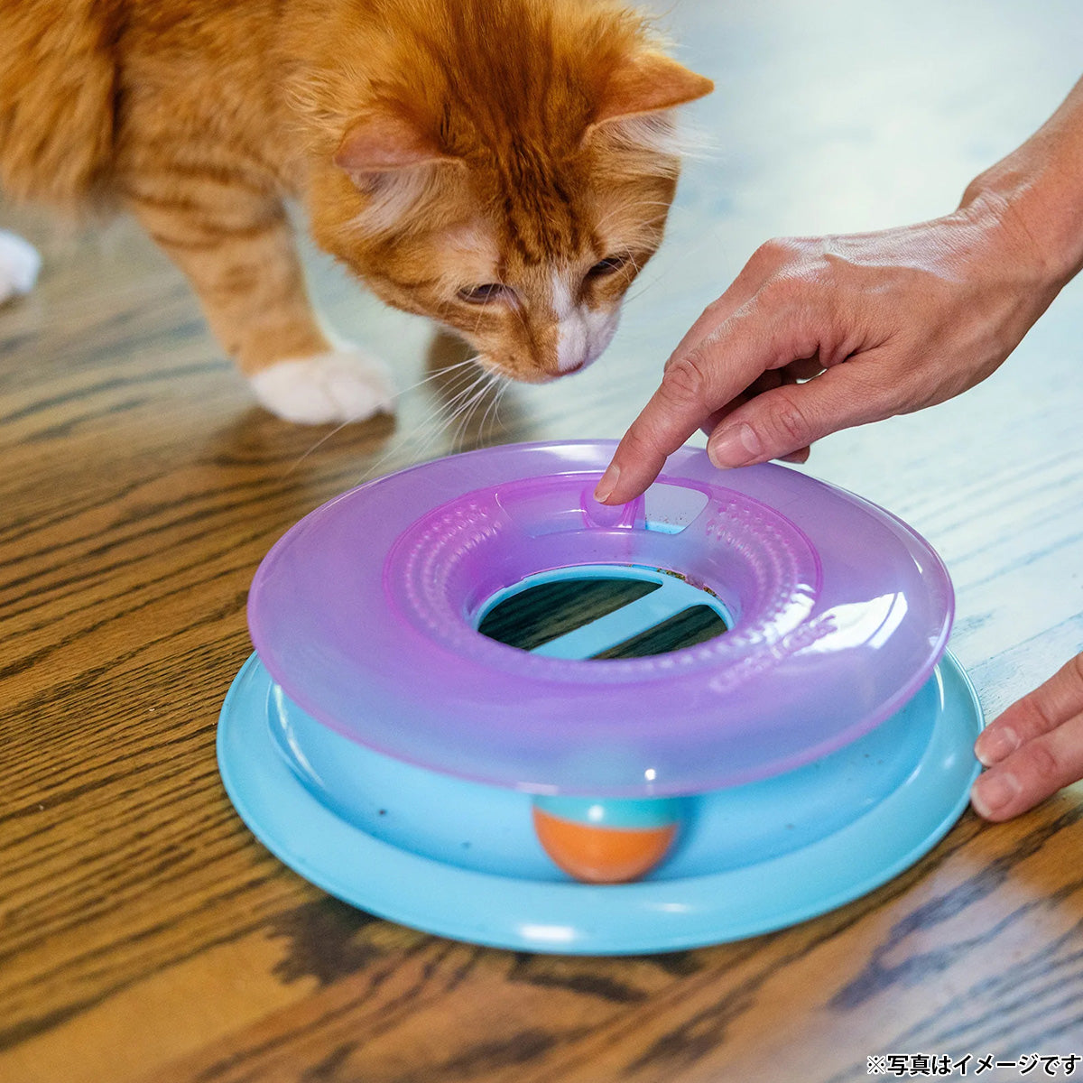ペットステージ Petstages レースアンドチェース 猫用おもちゃ