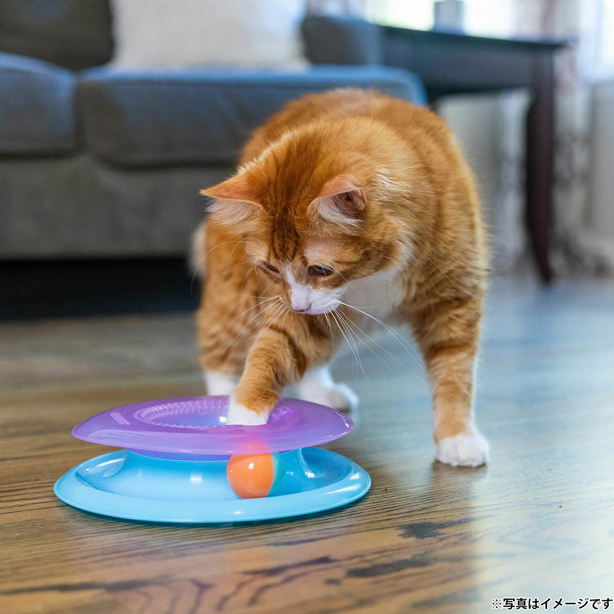 ペットステージ Petstages レースアンドチェース 猫用おもちゃ