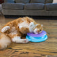 ペットステージ Petstages レースアンドチェース 猫用おもちゃ