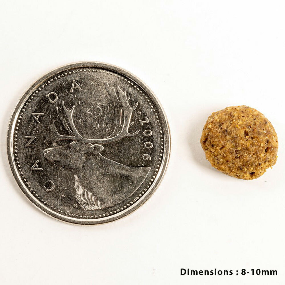 ペットカインド ドッグフード トライプドライ ウェイトマネージメントSAPラム 小粒 2.72kg×8個セット