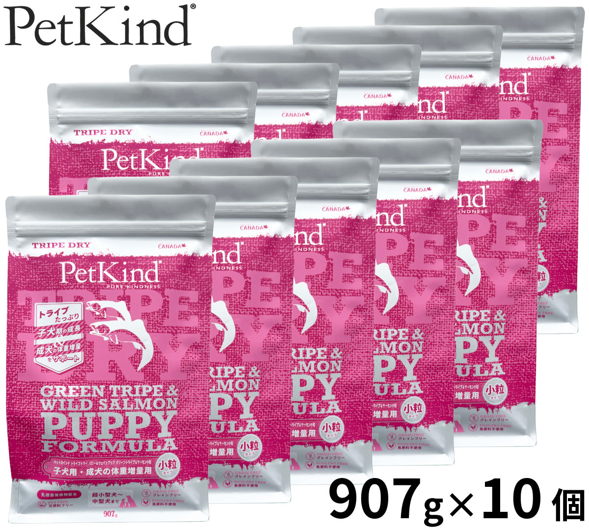 ペットカインド Pet Kind トライプドライ TripeDry ドッグフード パピー＆ウェイトアップ グリーントライプ＆サーモン 小粒 907g×10個