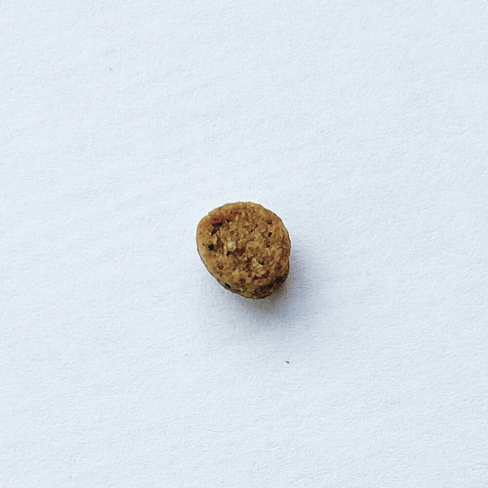 パウレ PAWLE ドッグフード チキン 子犬用 140g×24個セット