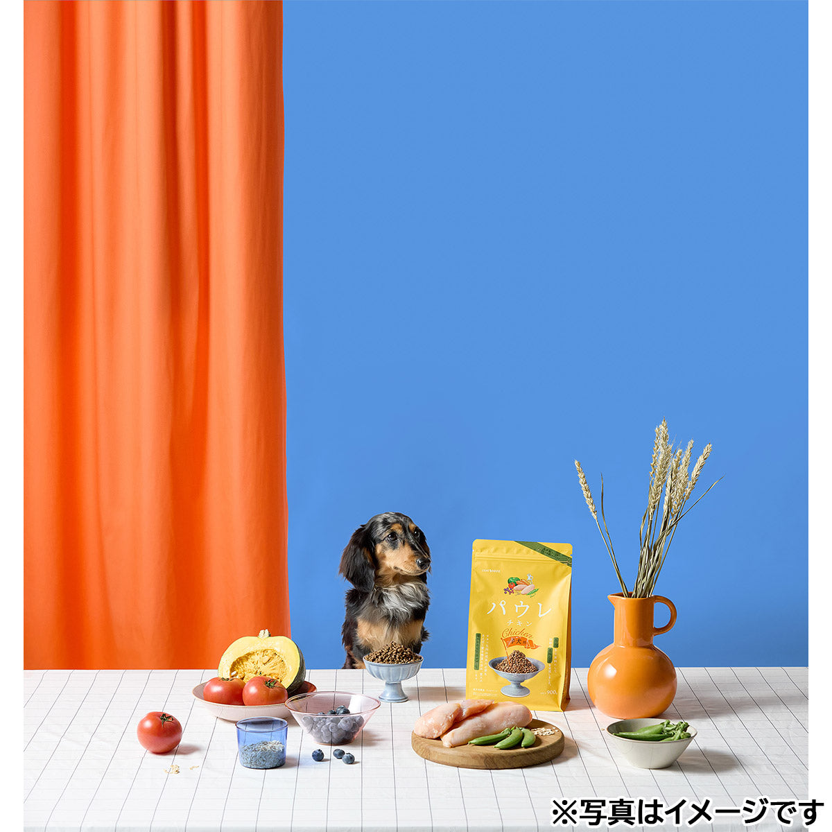 パウレ PAWLE ドッグフード チキン 子犬用 140g×24個セット