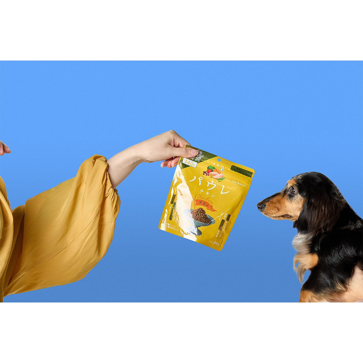 パウレ PAWLE ドッグフード チキン 子犬用 140g×24個セット