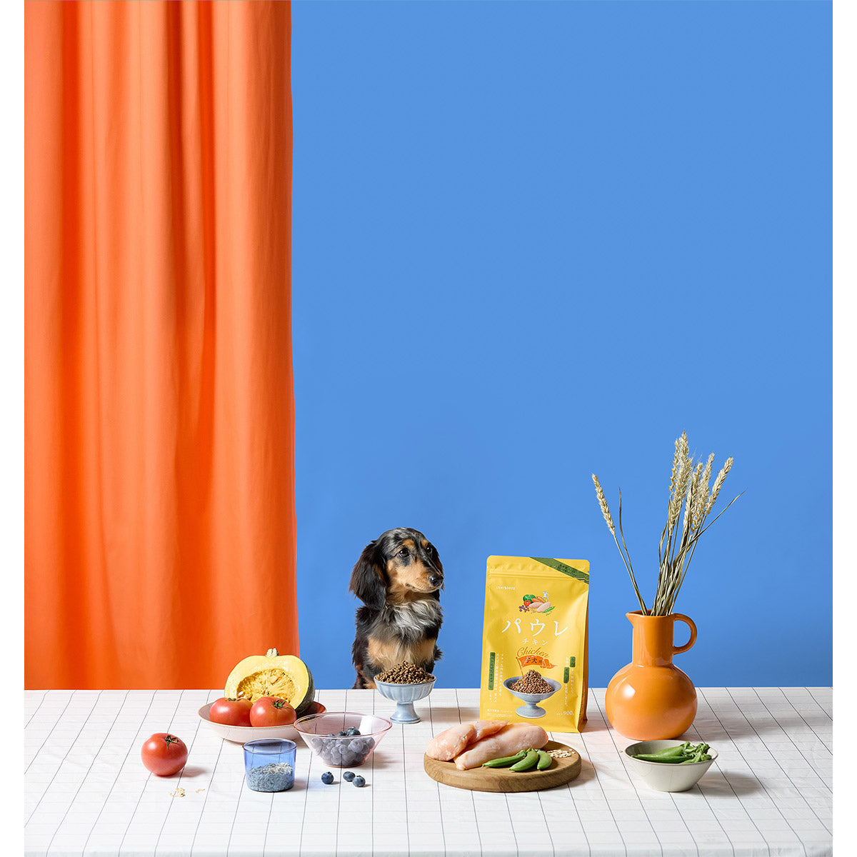 パウレ PAWLE ドッグフード チキン 子犬用 900g×12個セット