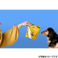 パウレ PAWLE ドッグフード チキン 子犬用 900g×12個セット