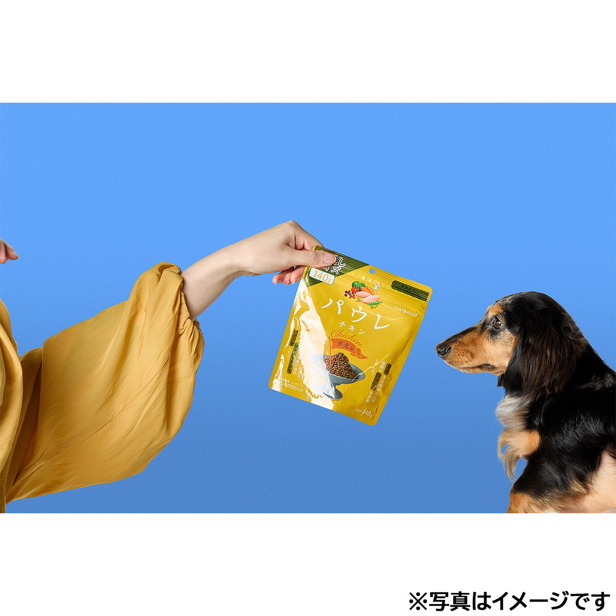 パウレ PAWLE ドッグフード チキン 子犬用 5.8kg×2個セット