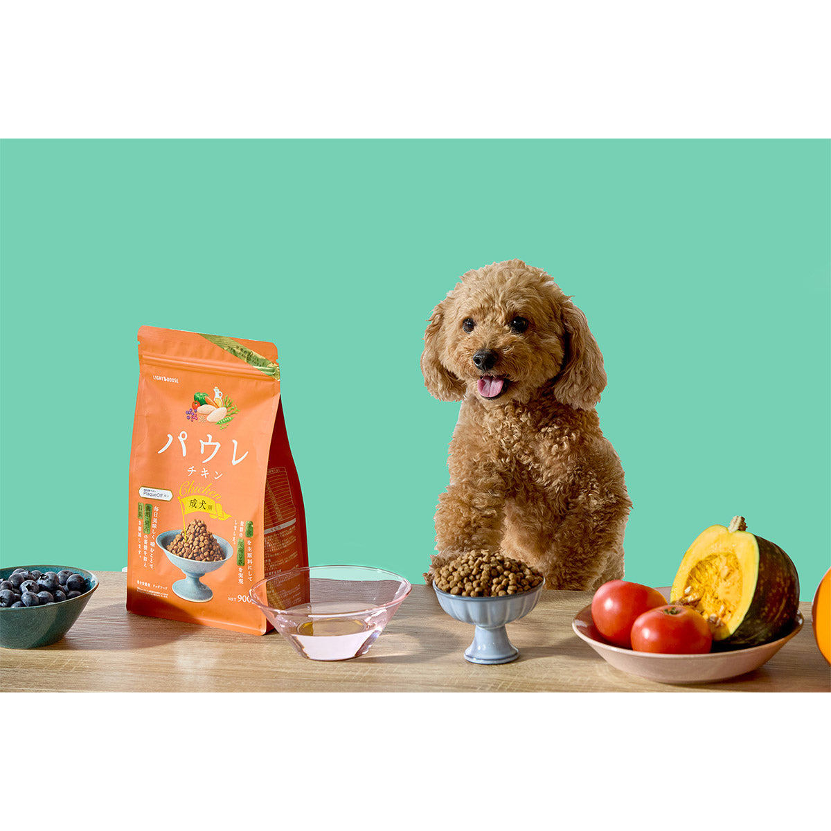 パウレ PAWLE ドッグフード チキン 成犬用 900g×12個セット