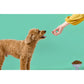 パウレ PAWLE ドッグフード チキン 成犬用 900g×12個セット