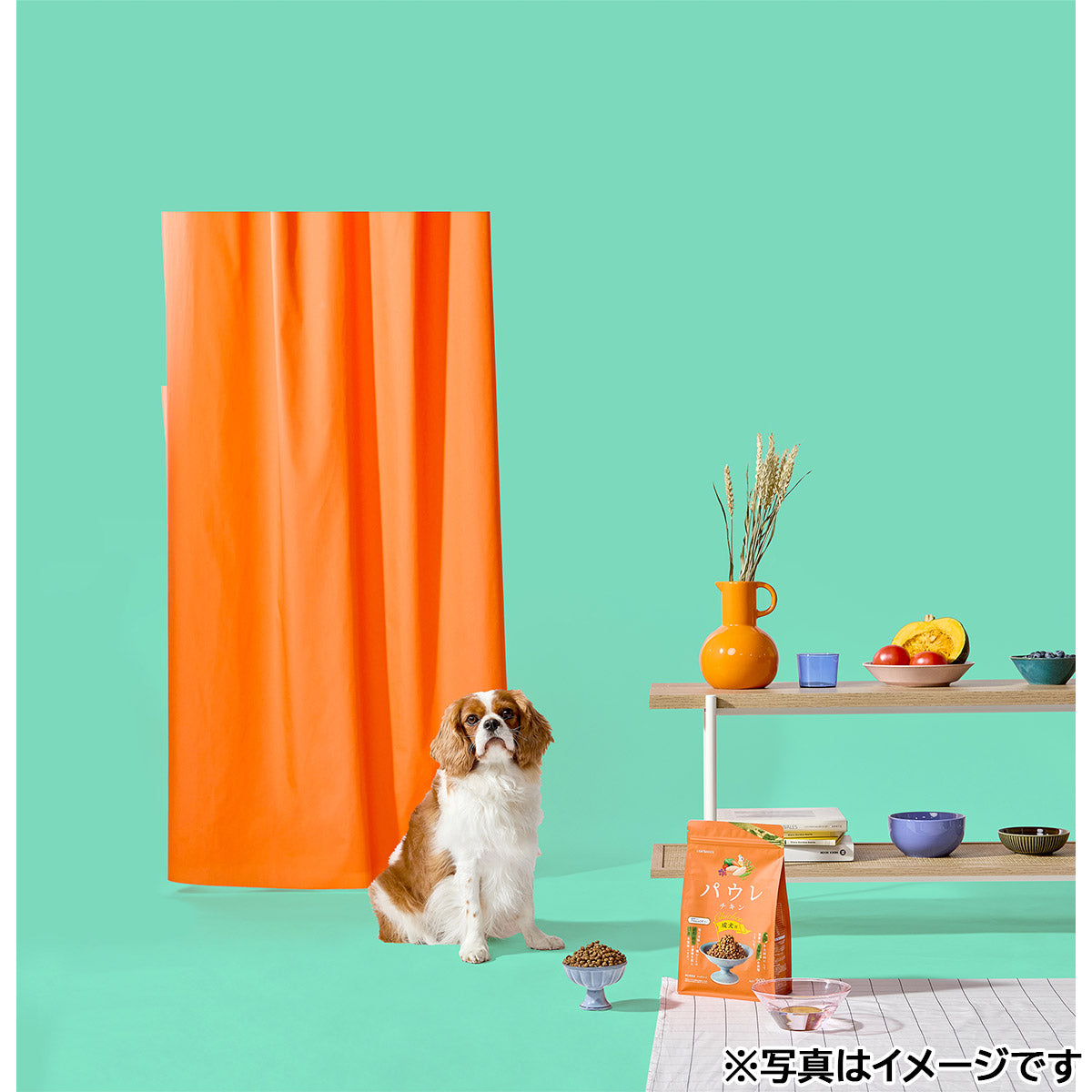 パウレ PAWLE ドッグフード チキン 成犬用 1.8kg×6個セット