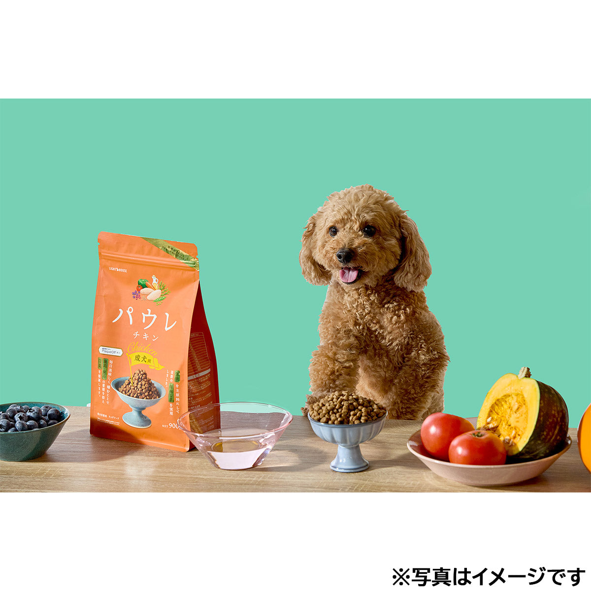 パウレ PAWLE ドッグフード チキン 成犬用 3.6kg×4個セット
