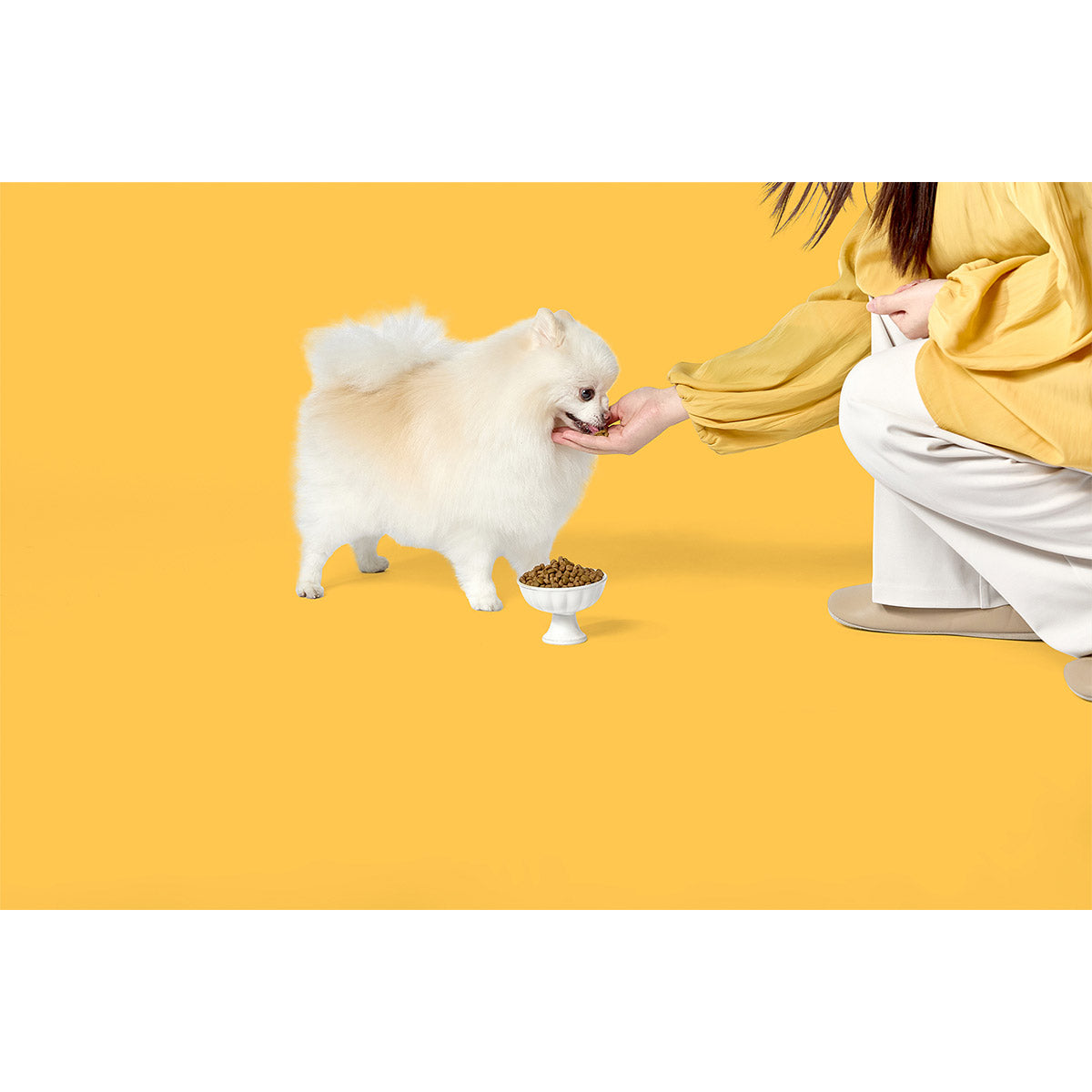 パウレ PAWLE ドッグフード フィッシュ 全年齢用 3.6kg×4個セット