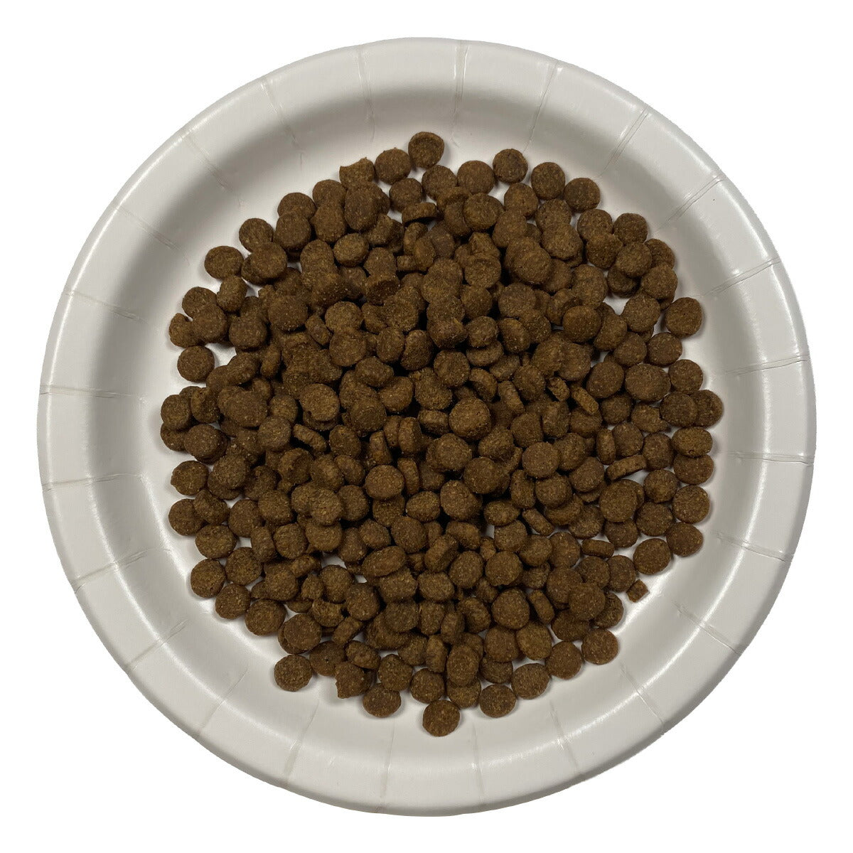 リガロ RIGALO ドッグフード ハイプロテインレシピ 子犬・成犬用 ラム 900g×12個セット