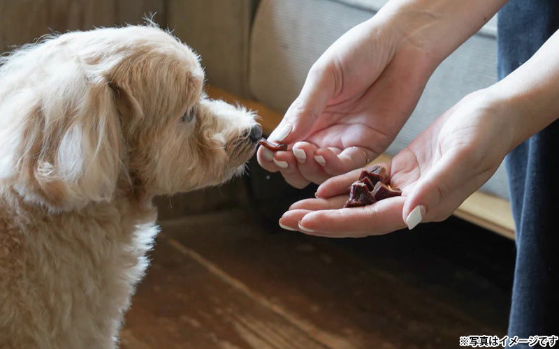 ロクバ ROKUBA スモーク薫るソフトジャーキー 馬 国産 犬用おやつ 40g