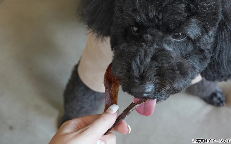 ロクバ ROKUBA カリカリジャーキー 鹿 国産 犬用おやつ 40g