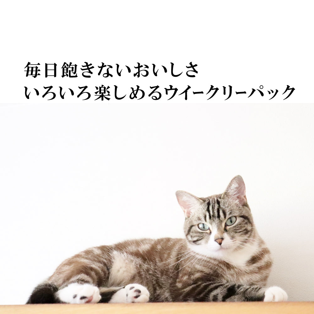 シグネチャー7 キャットフード グレイビー パウチ バラエティ パック 50g×14個（7種×各2個）