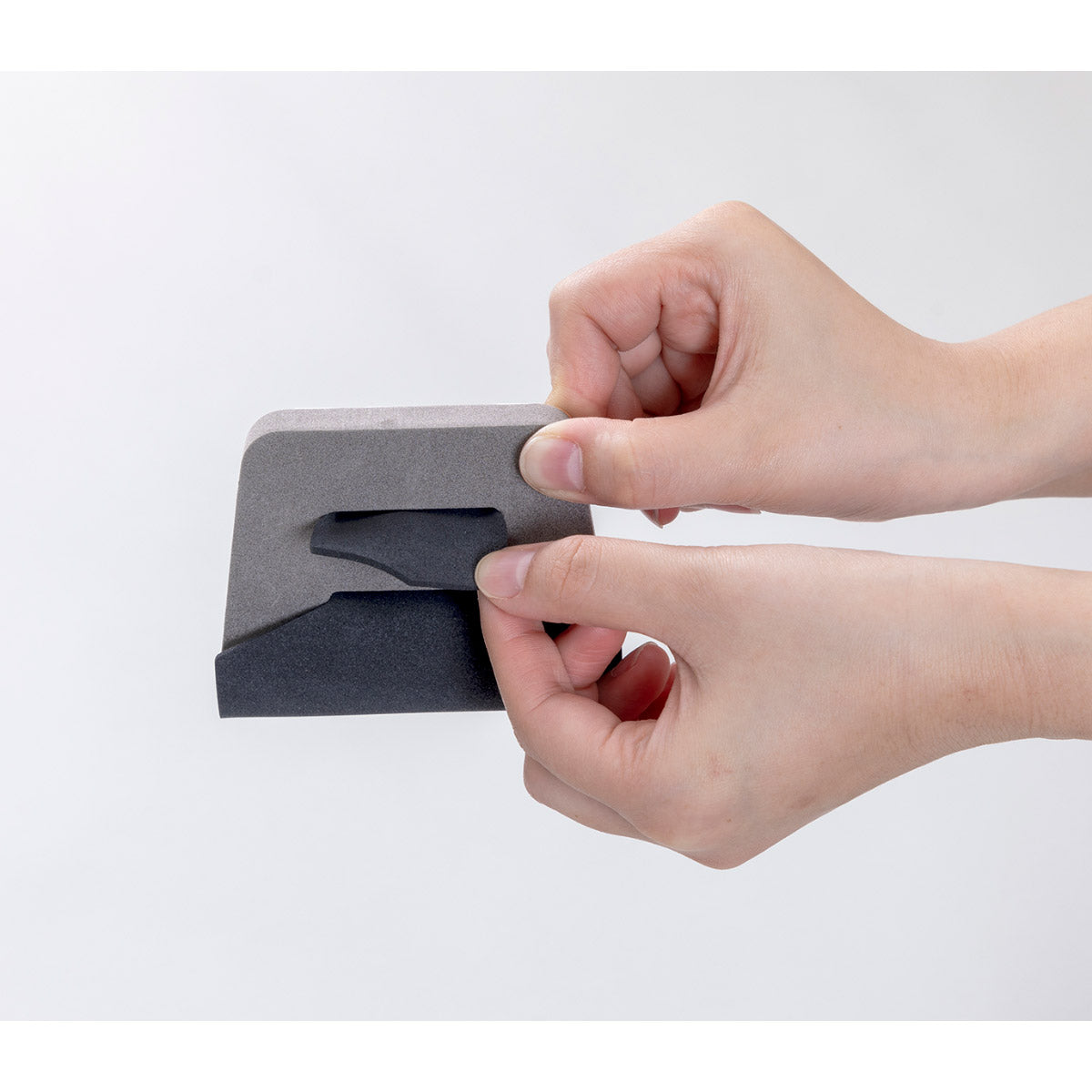 サンコー ペットの毛取りま～す