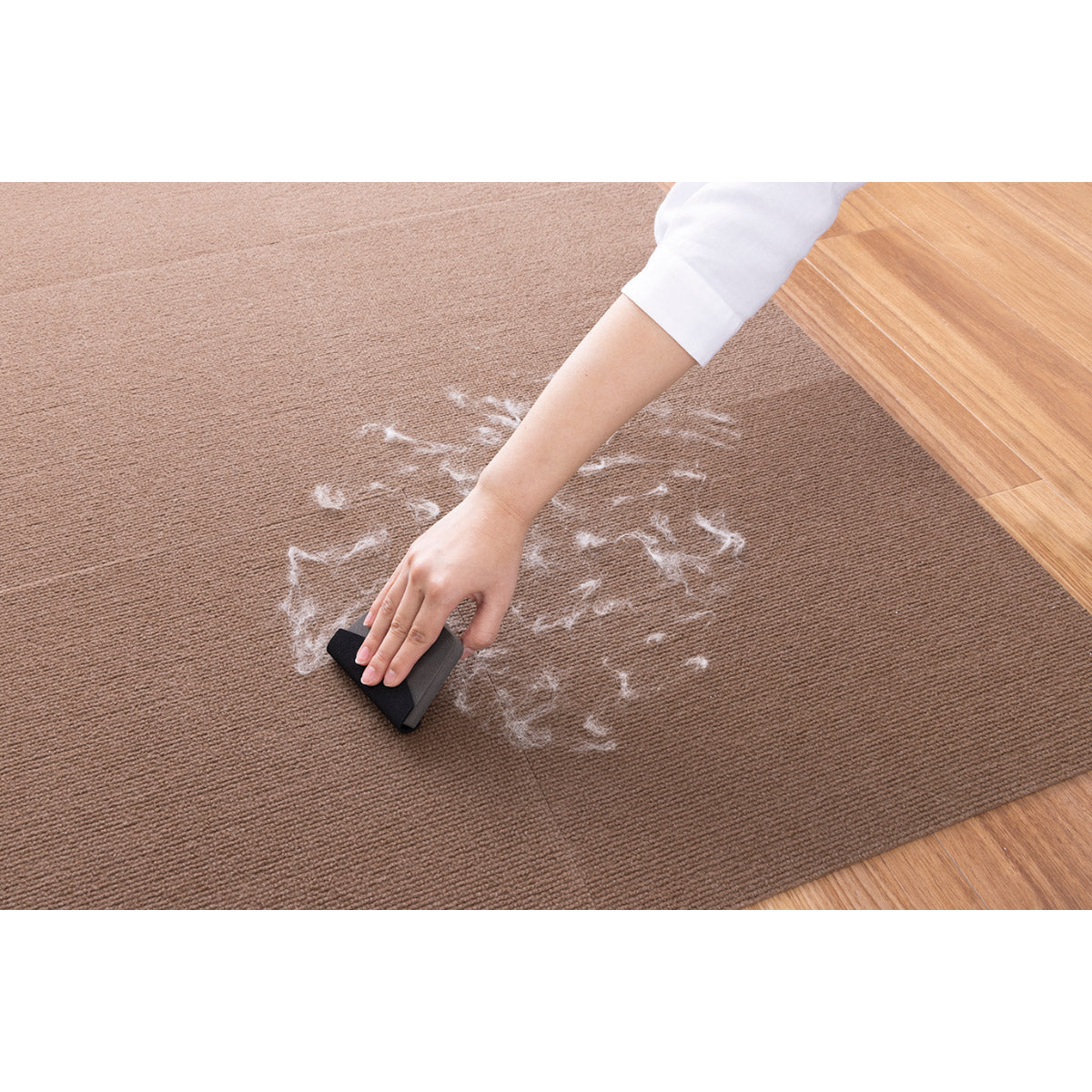 サンコー ペットの毛取りま～す 取替え用シート 2枚