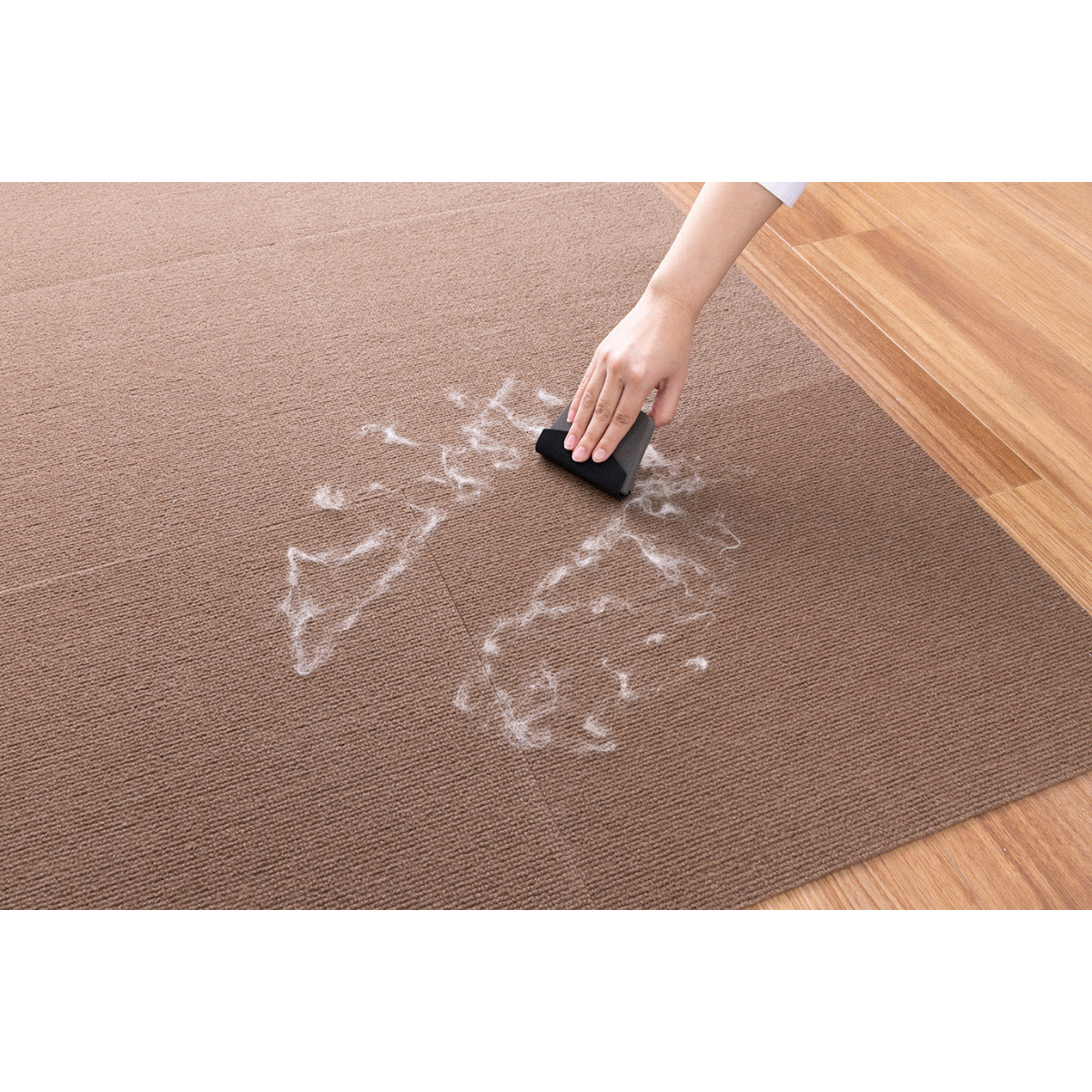 サンコー ペットの毛取りま～す 取替え用シート 2枚