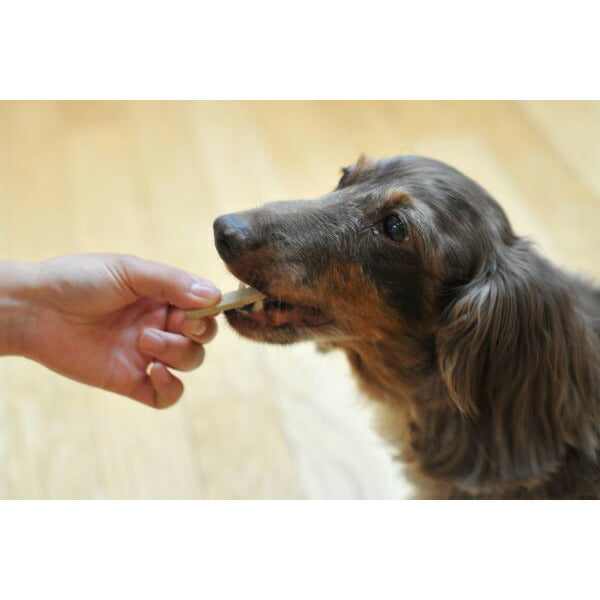 サンユー ジービッツ G-BITS グルコサミンスティック 犬用 75g（約30本）