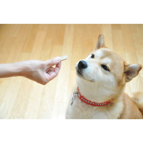 サンユー ジービッツ G-BITS グルコサミンスティック 犬用 75g（約30本）