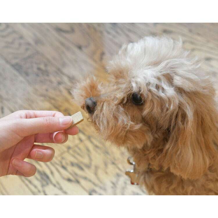 サンユー ジービッツ G-BITS グルコサミントリーツ ミニ 犬用 36g（約30枚）