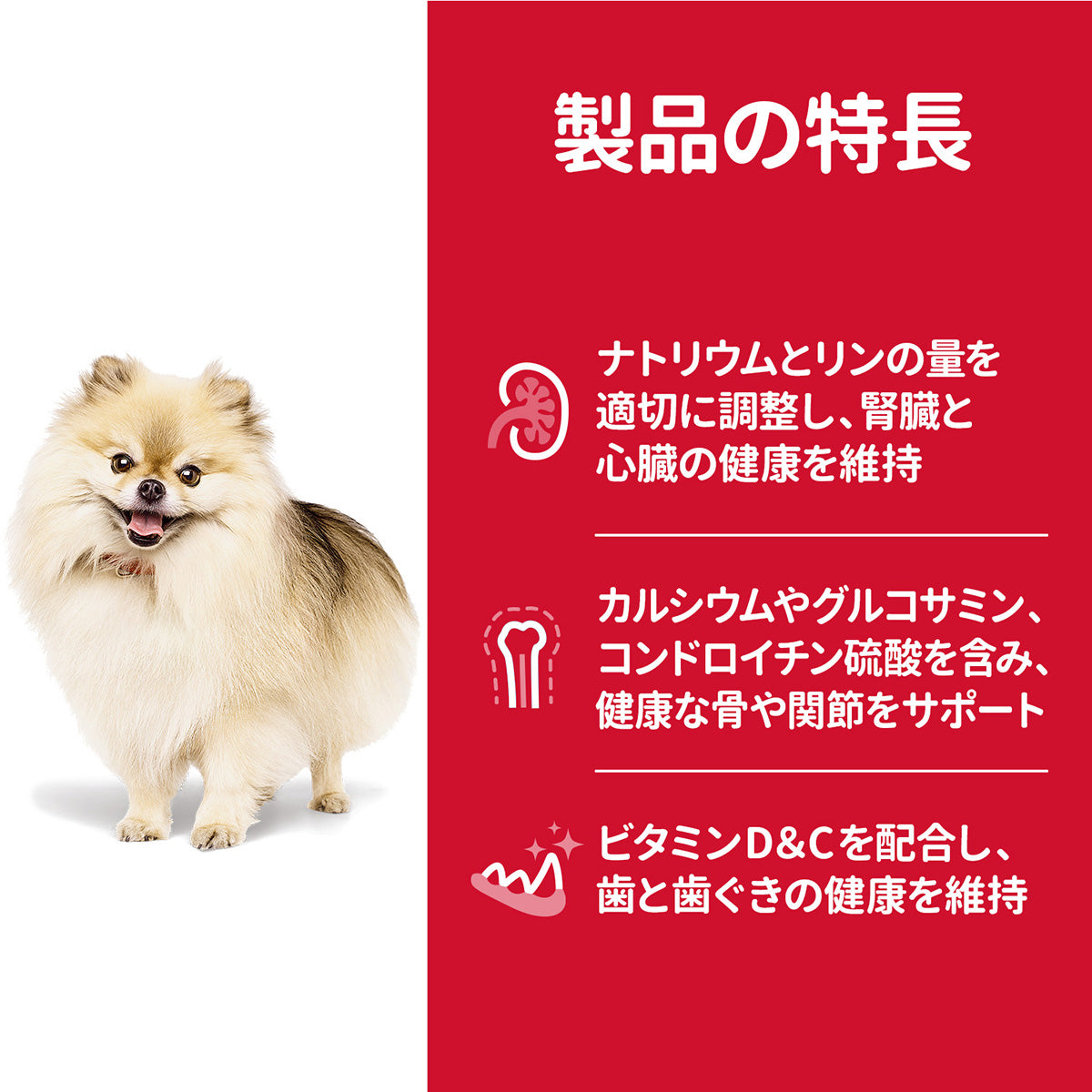 ヒルズ サイエンスダイエット ドッグフード シニア 小型犬用 高齢犬用 5kg【送料無料】