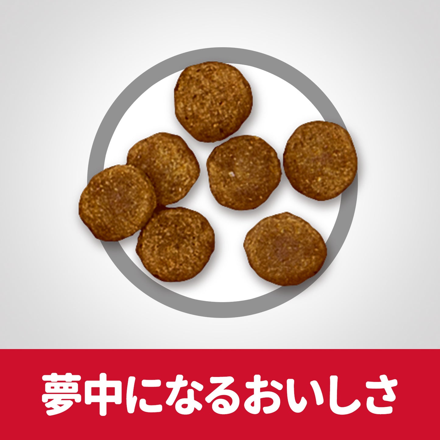 ヒルズ サイエンスダイエット ドッグフード シニア 小型犬用 高齢犬用 5kg【送料無料】