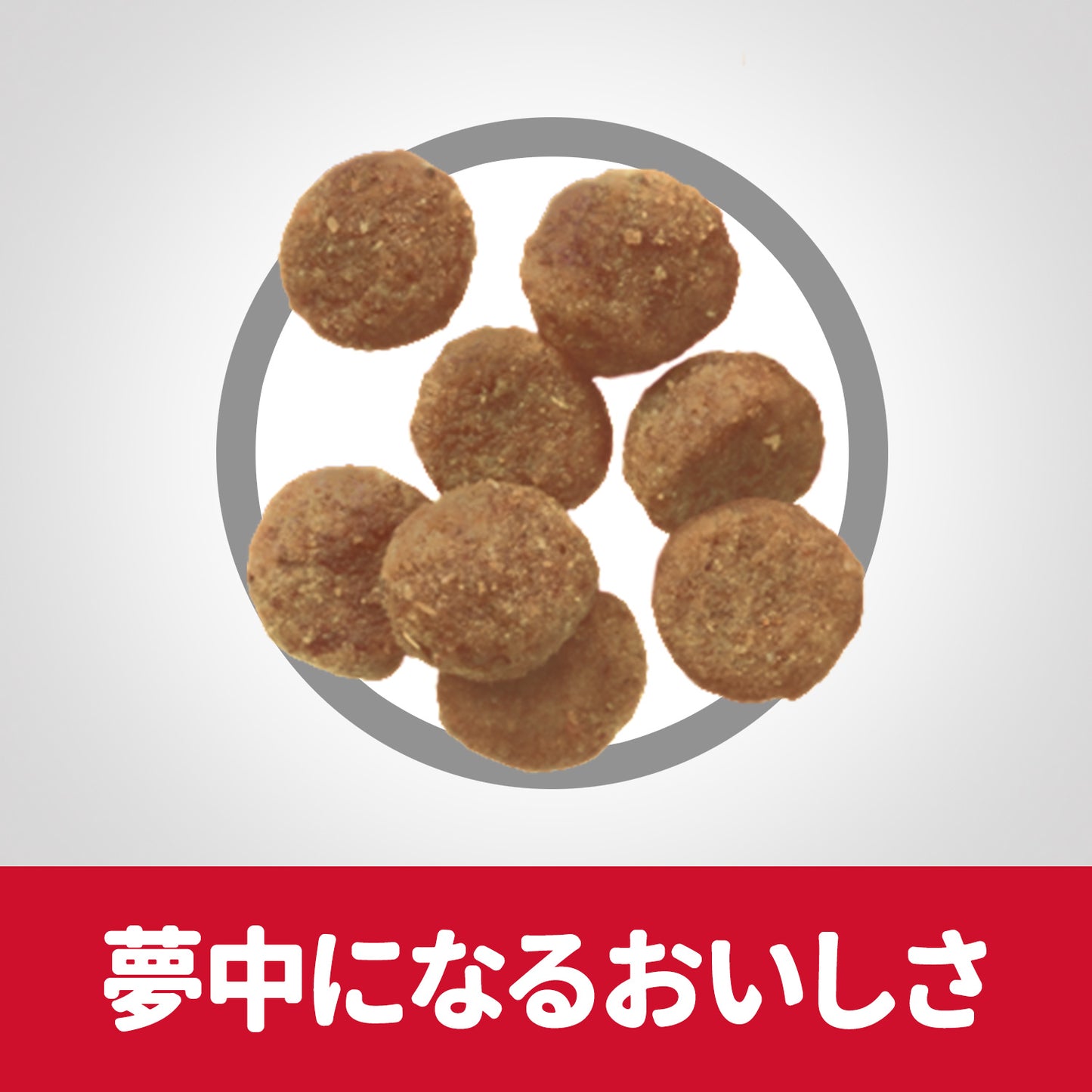 ヒルズ サイエンスダイエット ドッグフード 敏感なお腹と皮膚の健康サポート 小型犬用 2.5kg【送料無料】
