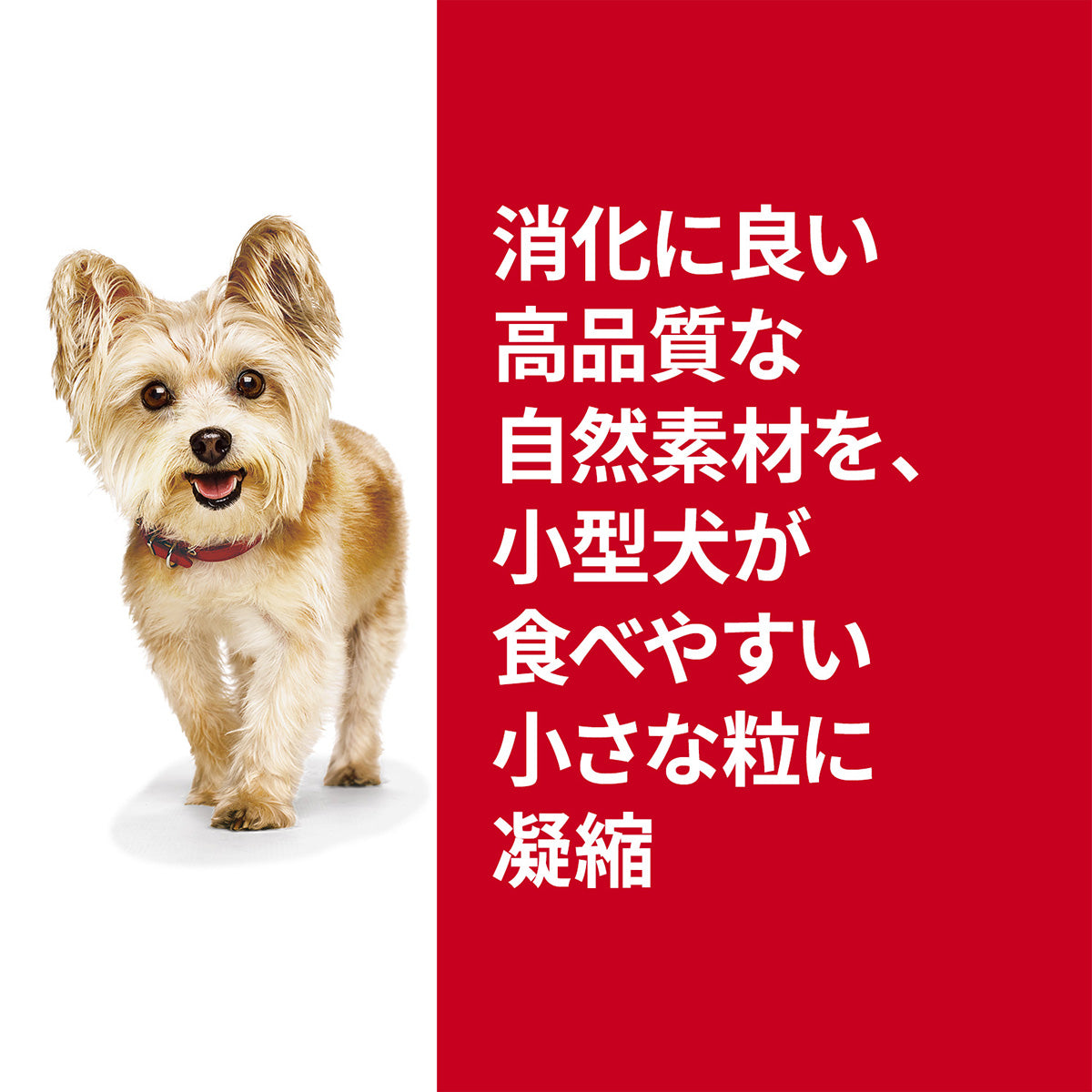 ヒルズ サイエンスダイエット ドッグフード 小型犬用 腸の健康サポートプラス 1歳以上 チキン 2.5kg×4個セット【送料無料】