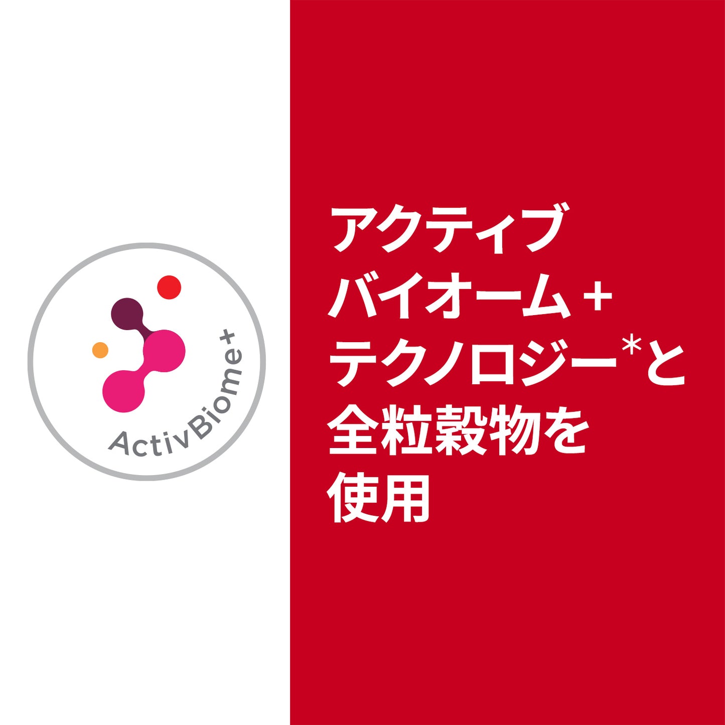 ヒルズ サイエンスダイエット ドッグフード 小型犬用 腸の健康サポートプラス 1歳以上 チキン 2.5kg【送料無料】