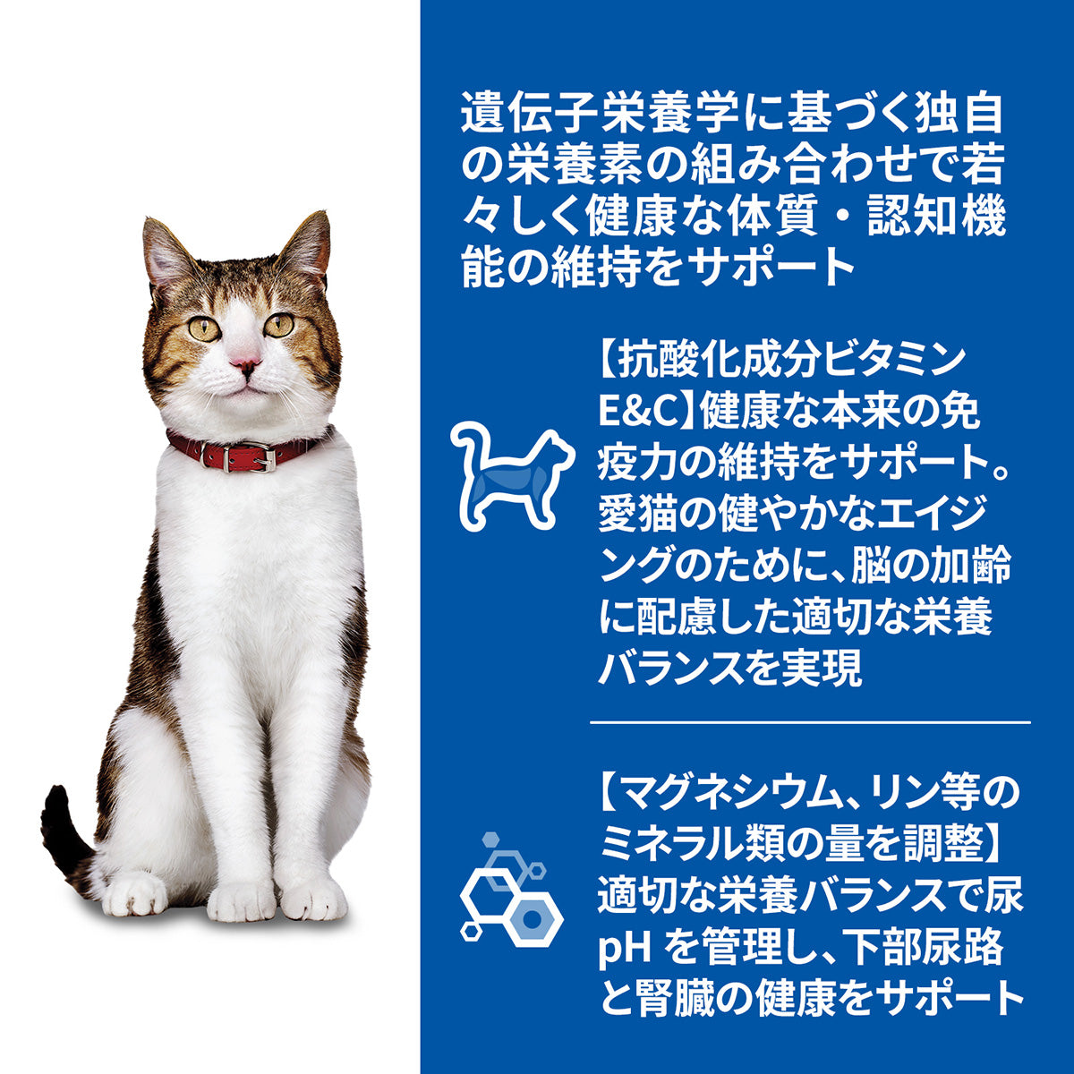 ヒルズ サイエンスダイエット キャットフード 猫用 シニアトータルケア機能 7歳以上 チキン パウチ 85g