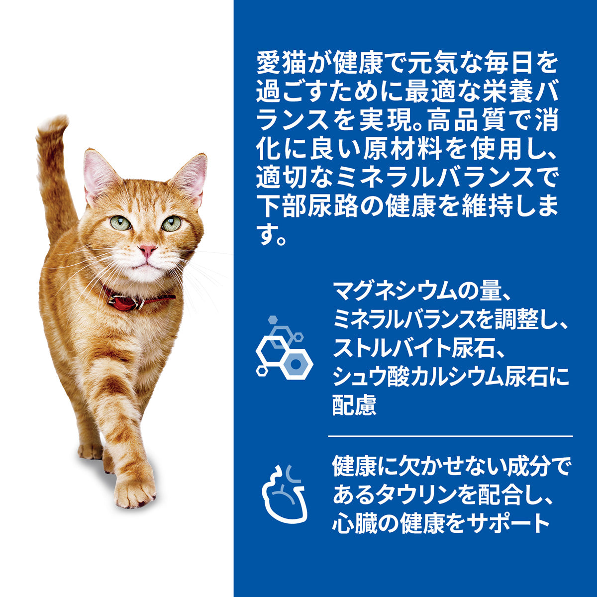 ヒルズ サイエンスダイエット キャットフード 猫用 シニア 7歳以上 サーモン パウチ 85g